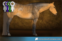 Horse Color:Buckskin 