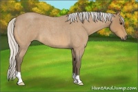 Horse Color:Silver Buckskin Roan 