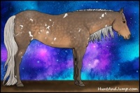 Horse Color:White Spotted Silver Buckskin 