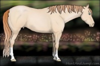 Horse Color:Buckskin Pearl 