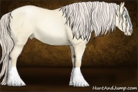 Horse Color:Palomino Pearl Dun Sabino