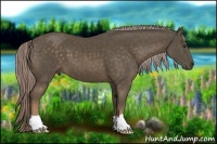 Horse Color:Chocolate Palomino