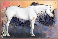 Horse Color:Nacre Gold Champagne Dun Appaloosa