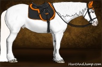 Horse Color:White Spotted Silver Bay Dun Splash Varnish Rabicano 