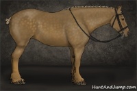 Horse Color:Chocolate Palomino 