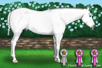 Horse Color:Gray Buckskin Roan Splash