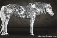 Horse Color:Silver Smoky Black Chinchilla Sabino  Brindle