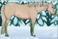 Horse Color:Watercolor Silver Bay Dun