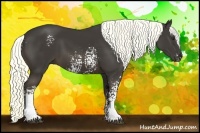 Horse Color:White Spotted Liver Chestnut Rabicano 