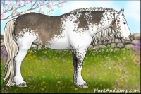 Horse Color:White Spotted Liver Chestnut Rabicano