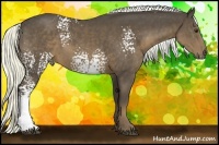 Horse Color:White Spotted Liver Chestnut Rabicano 