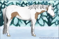Horse Color:Bay Roan Dun Splash Tobiano
