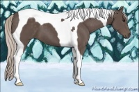 Horse Color:Silver Black Tobiano
