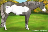 Horse Color:Silver Black Frame