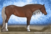 Horse Color:Silver Bay 