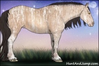 Horse Color:Amber Champagne Ice Rabicano 