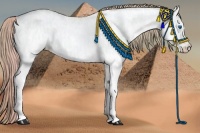 Horse Color:Watercolor Gold Champagne Ice Dun Splash 