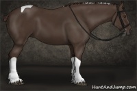 Horse Color:Liver Chestnut Tobiano 