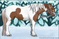 Horse Color:Chestnut Tobiano 