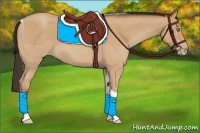 Horse Color:Amber Champagne Tobiano