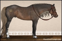 Horse Color:Liver Chestnut Sabino