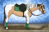 Horse Color:Bay Dun Tobiano