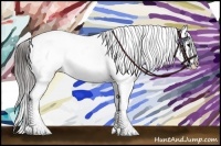 Horse Color:Brown Appaloosa