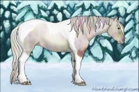 Horse Color:Nacre Silver Black Pearl Sabino Tobiano