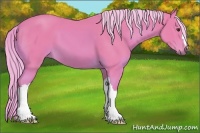 Horse Color:Watercolor Palomino 