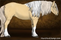 Horse Color:Palomino Tobiano 