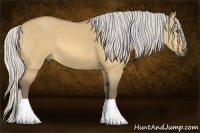 Horse Color:Silver Buckskin Dun 