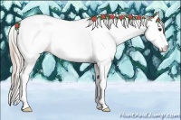 Horse Color:Silver Bay Dun Splash Tobiano 