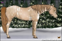 Horse Color:White Spotted Chestnut Pearl  Brindle