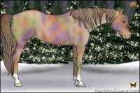 Horse Color:Nacre Black Pearl 