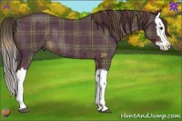 Horse Color:Plaid  Liver Chestnut Splash Rabicano 