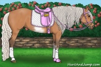 Horse Color:White Spotted Silver Bay Sabino