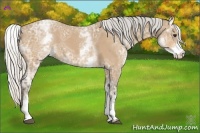 Horse Color:White Spotted Silver Buckskin Ice 