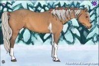 Horse Color:Silver Buckskin Tobiano 