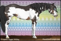 Horse Color:Brown Splash Frame 