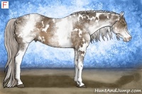 Horse Color:White Spotted Chocolate Palomino 