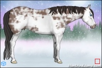 Horse Color:Bay Ice Splash Frame 