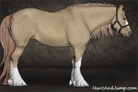 Horse Color:Chocolate Palomino Dun 