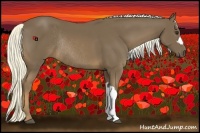Horse Color:Chestnut Rabicano 