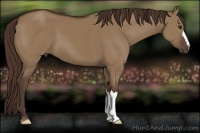 Horse Color:Liver Red Dun 