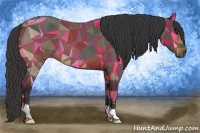 Horse Color:Buckskin Roan 