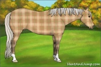 Horse Color:Plaid  Silver Bay 