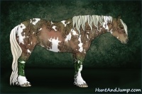 Horse Color:Watercolor White Spotted Silver Bay Ice 
