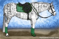 Horse Color:Smoky Black Sabino  and Smoky Black Sabino 