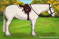 Horse Color:Perlino Sabino Brindle