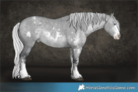 Horse Color:White Spotted Silver Brown Chinchilla Dun Splash 